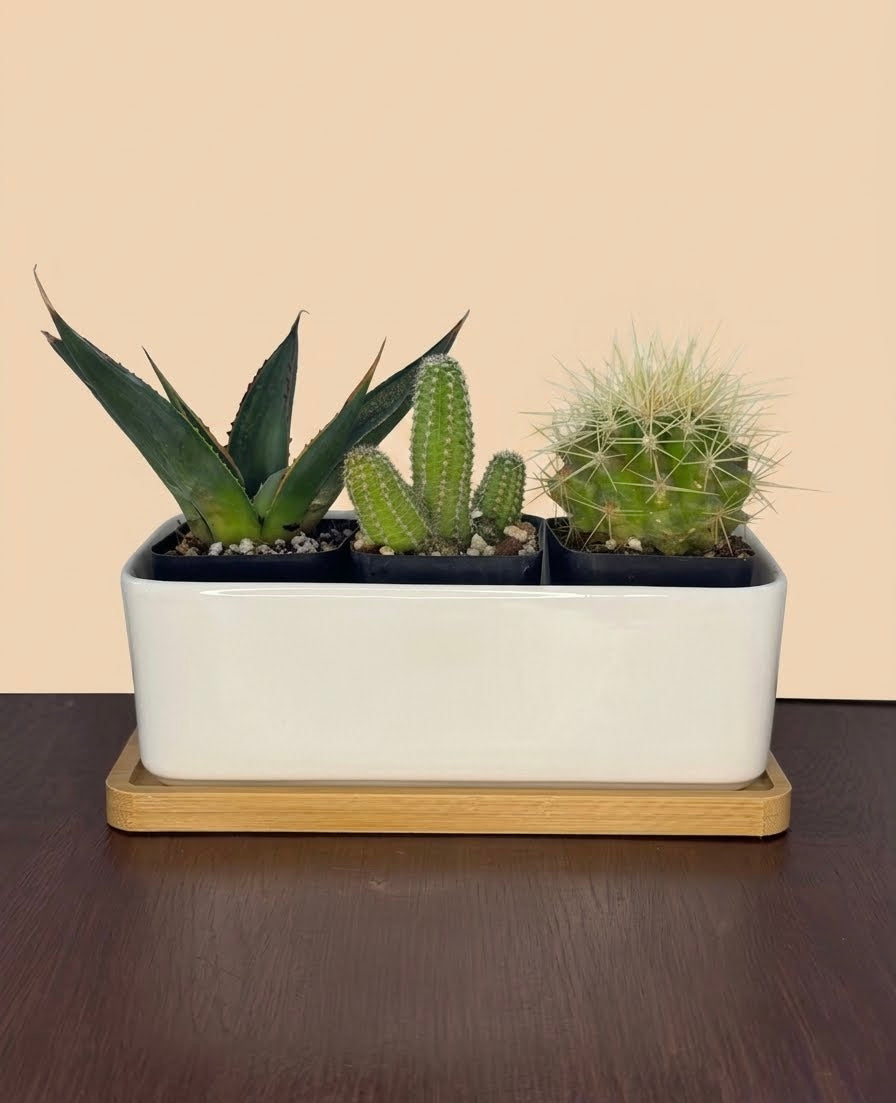 Make-Your-Own Arrangement Kit