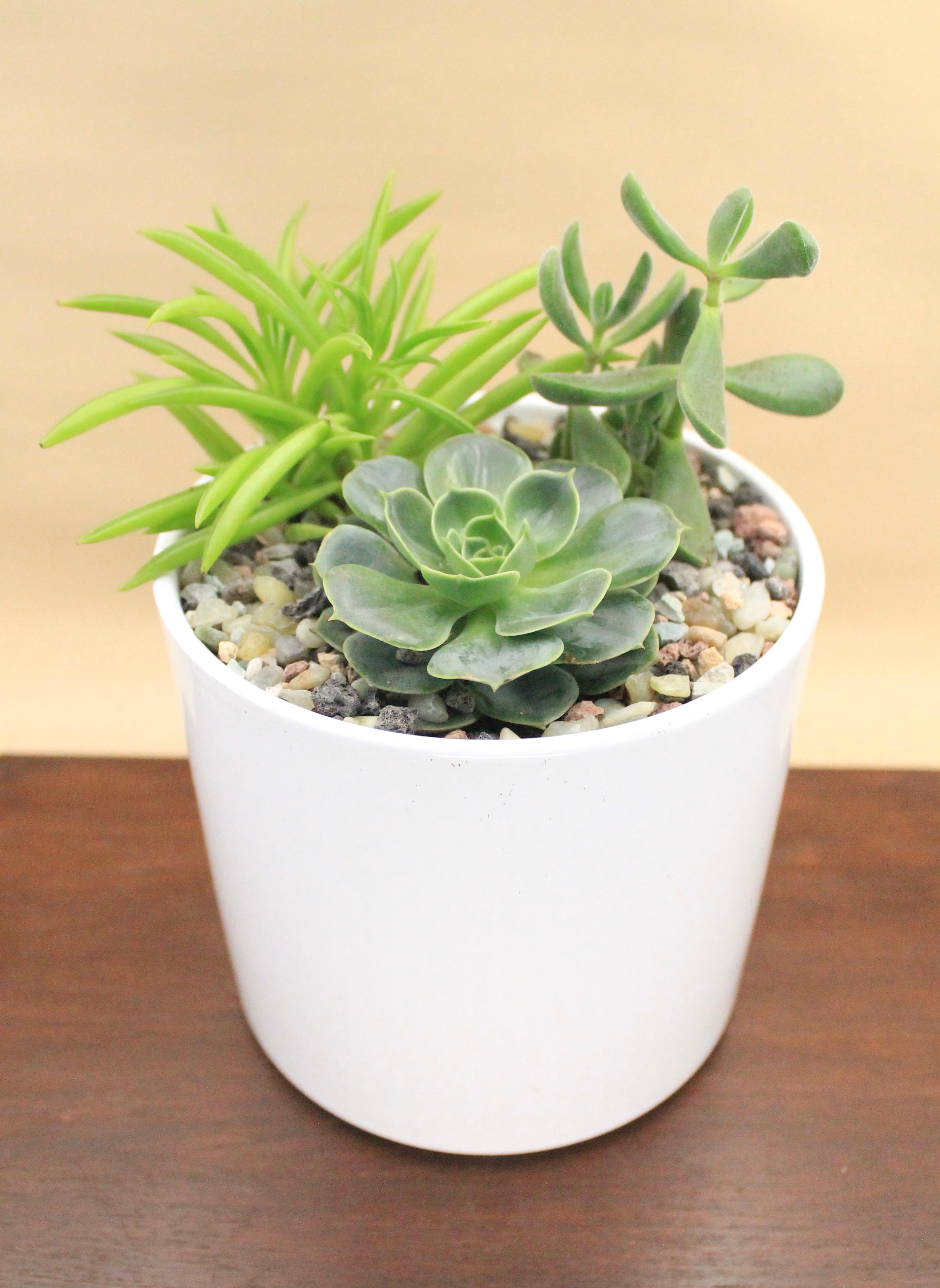Made-to-Order Planter Arrangement Set