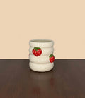 Red Strawberry Planter