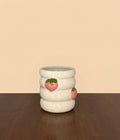Pink Strawberry Planter