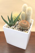 Made-to-Order Planter Arrangement Set