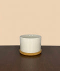 White Planter with Bamboo Saucer