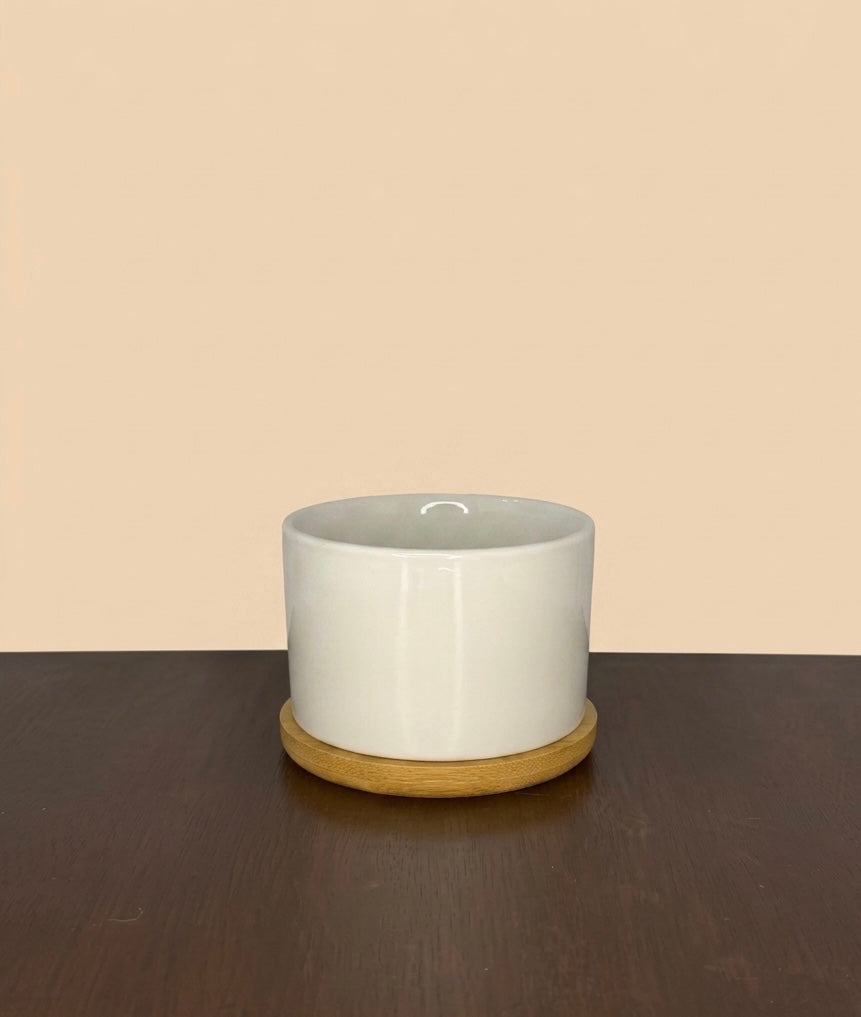 White Planter with Bamboo Saucer