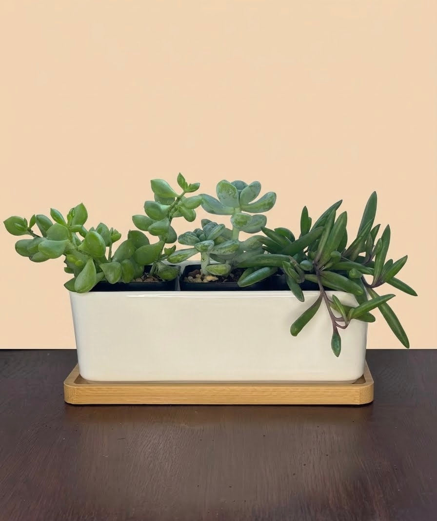 Make-Your-Own Arrangement Kit