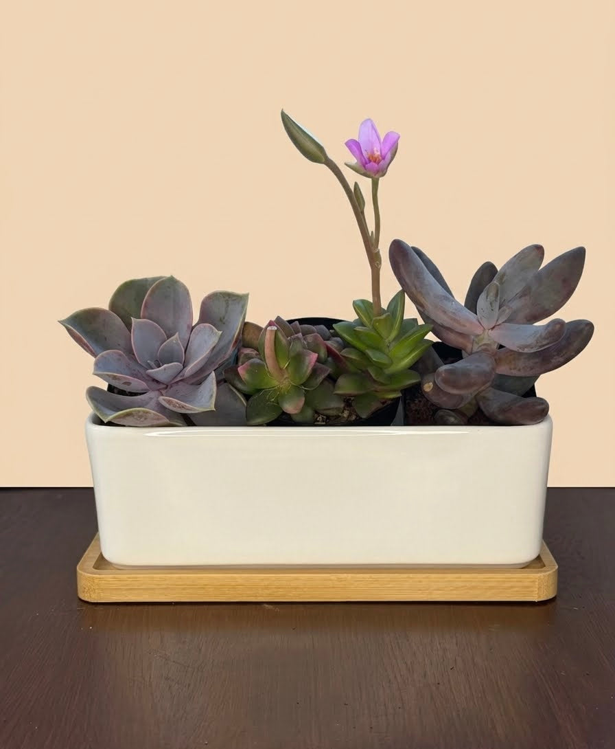 Make-Your-Own Arrangement Kit