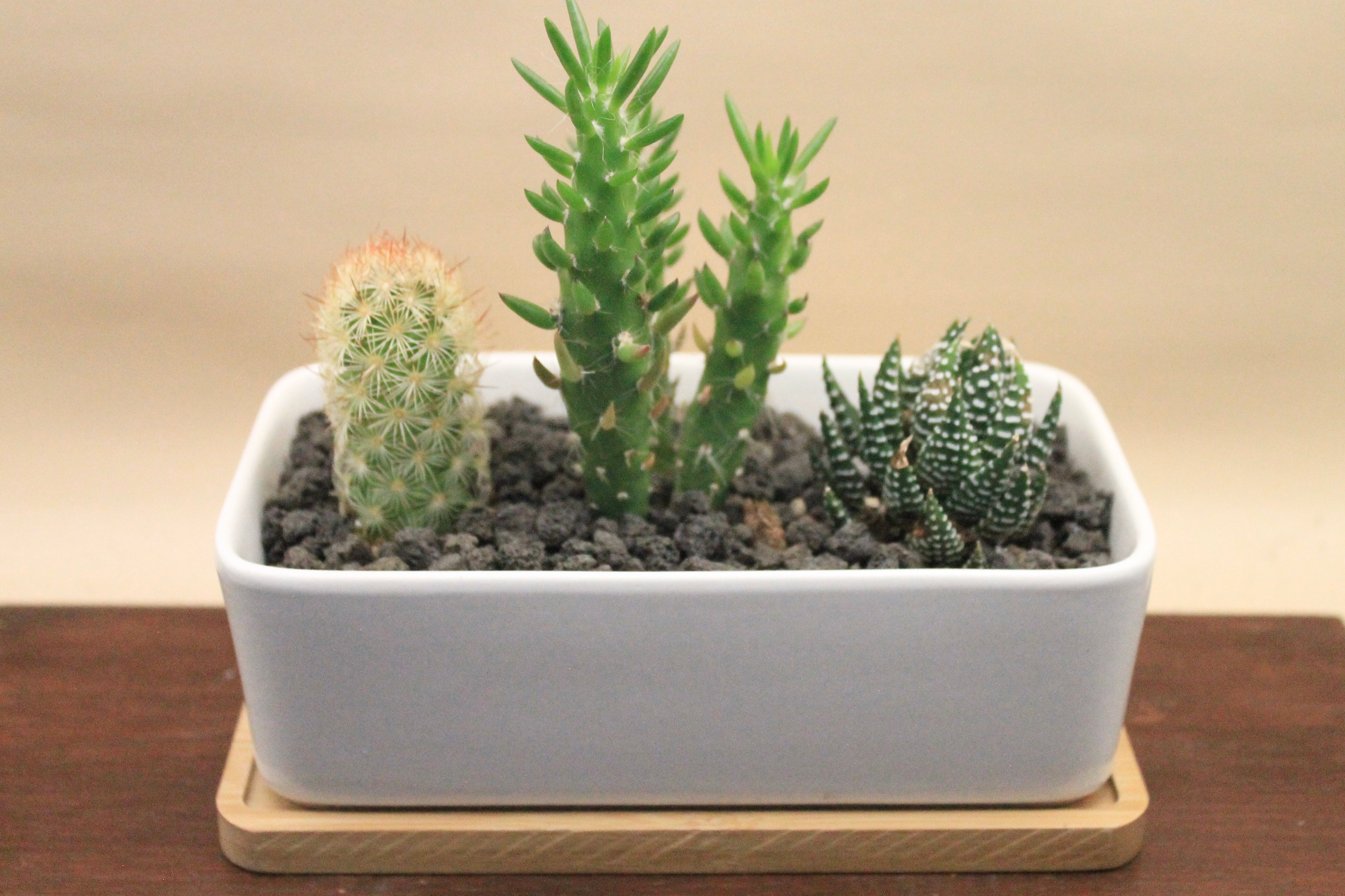 Build-Your-Own Arrangement Kit